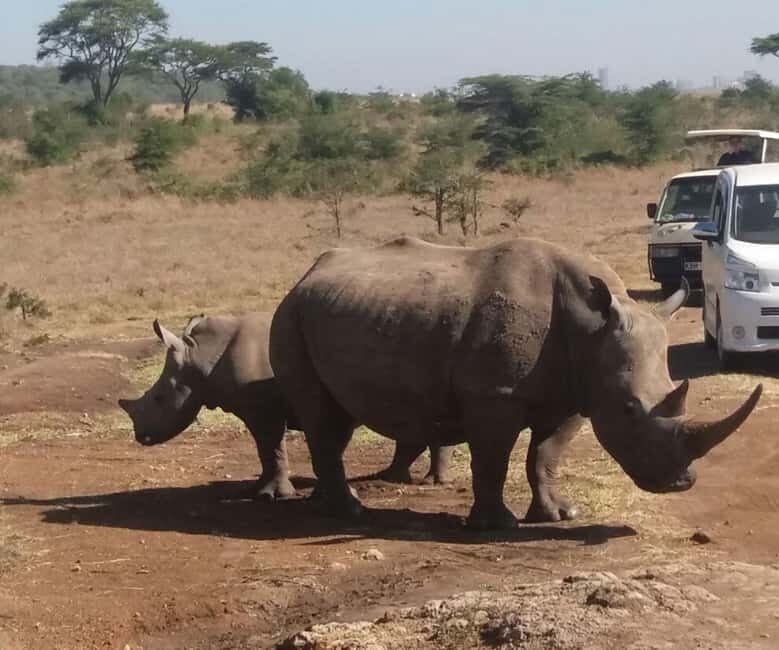 2day luxury safari at Solio Ranch in a 4x4 Land Cruiser Jeep - The Itinerary in Detail