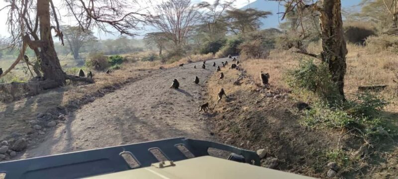 2Day Safari Tarangire and Ngorongoro Crater Join Group - The Experience on the Ground