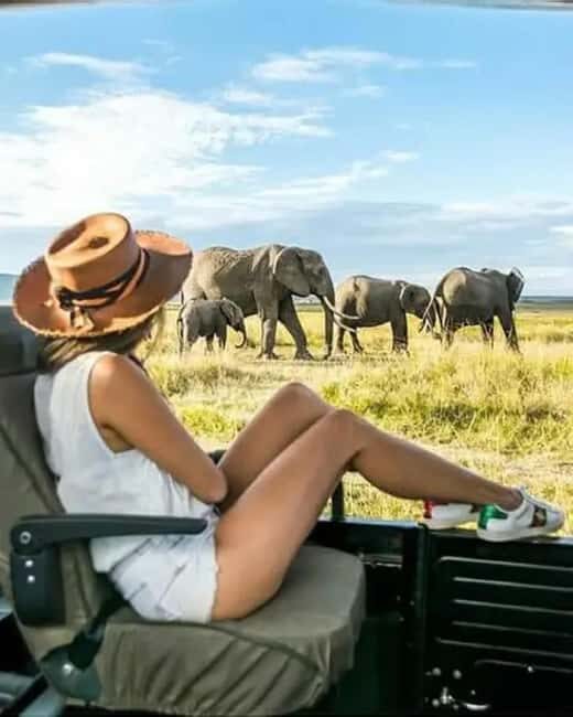 2Day Safari Tarangire and Ngorongoro Crater Join Group - Authentic Insights from Travelers