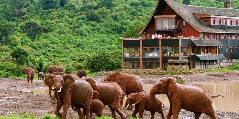 2Days Aberdares National Park Safari Package - Practical Tips for Your Safari