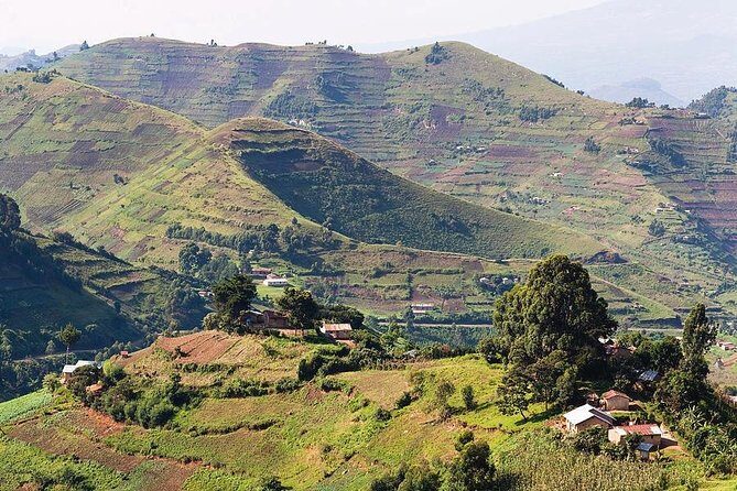 2days Bwindi NP gorilla trekking - The Value of This Tour