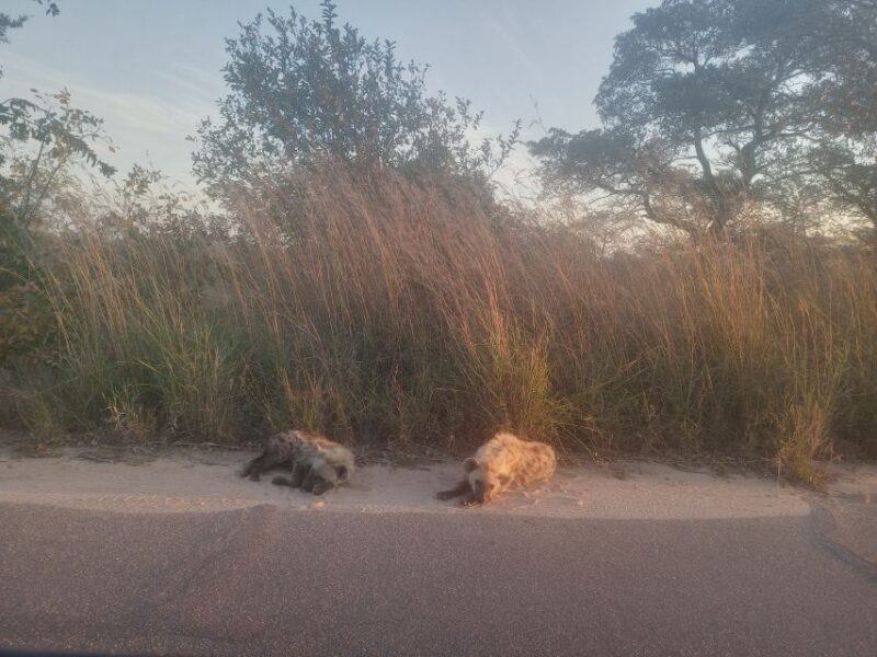 2days kruger National Park - Frequently Asked Questions