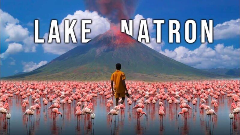 2Days Magical Lake Natron Safari - An In-Depth Look at the Experience