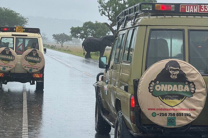 2Days Murchison Falls NP Safari - Reviews and Authentic Feedback