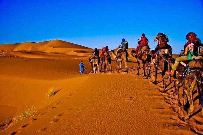 2Days Share Tour From Fes To Marrakech Via Sahara Desert Morocco - Key Points