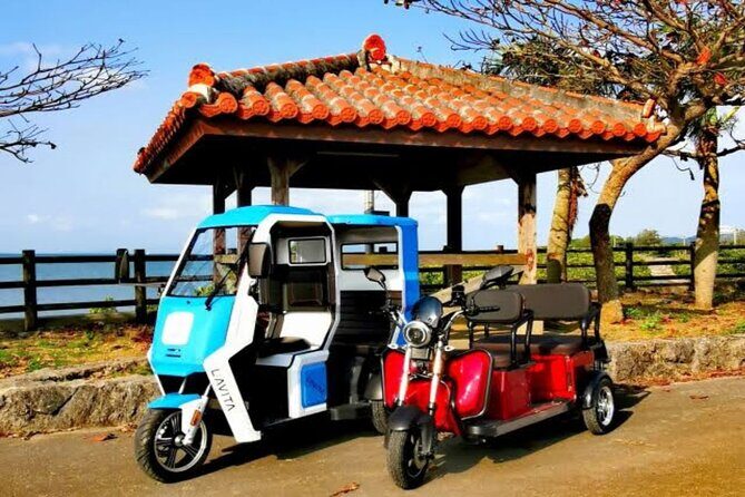 2h 3-seater electric trike rental (Ishigaki, Okinawa) - Exploring Ishigaki on an Electric Trike: What You Need to Know