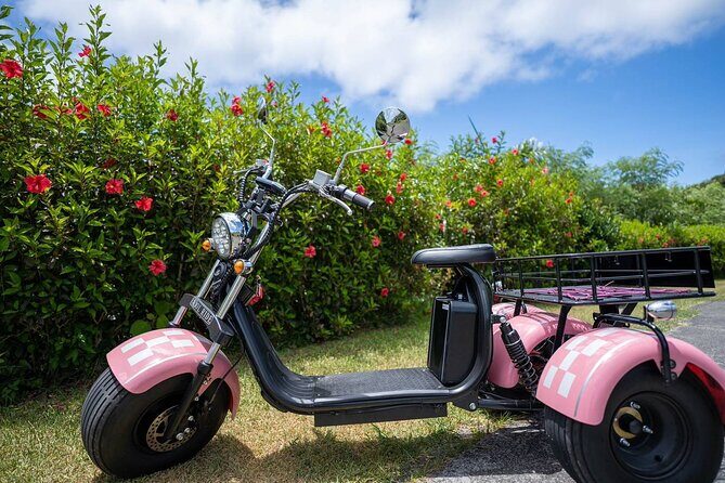 2h Electric Trike Rental in Okinawa Ishigaki - Introducing the 2-Hour Electric Trike Rental in Okinawa Ishigaki