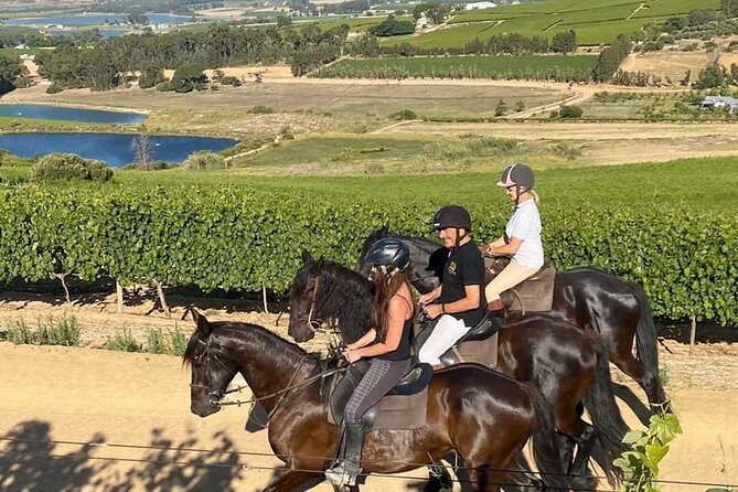 2h Horse Trail - Key Points