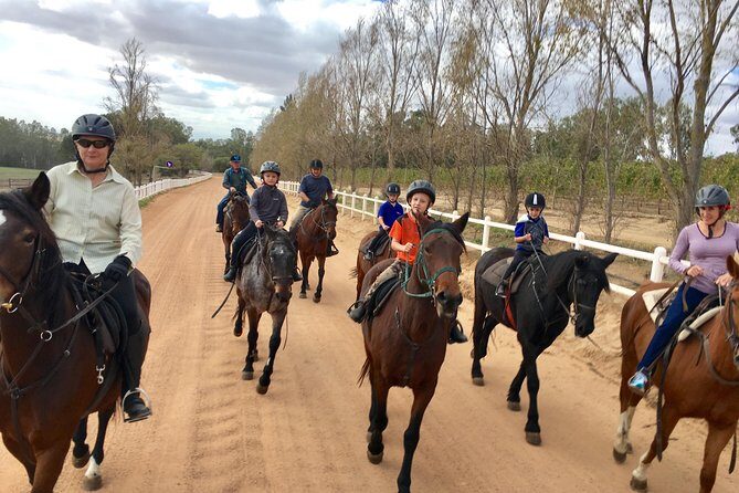 2h Horse Trail - Introduction: An Authentic Ride in Stellenbosch