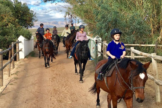 2h Horse Trail - Practicalities and Booking