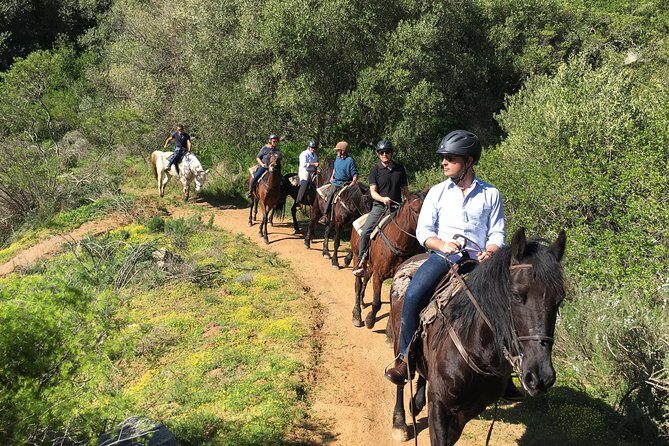 2h Horse Trail - Who Should Consider This Experience?