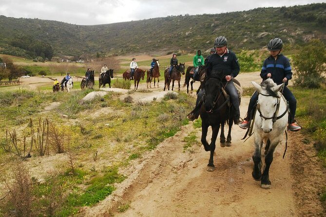 2h Horse Trail - The Sum Up