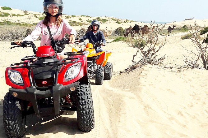 2h quad bike on the beach and in the dunes - Key Points