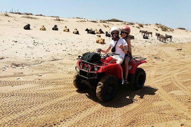 2h quad bike on the beach and in the dunes - The Sum Up