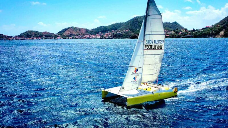 2h Sailing catamaran in La Baie des Saintes - What Makes This Tour Stand Out?