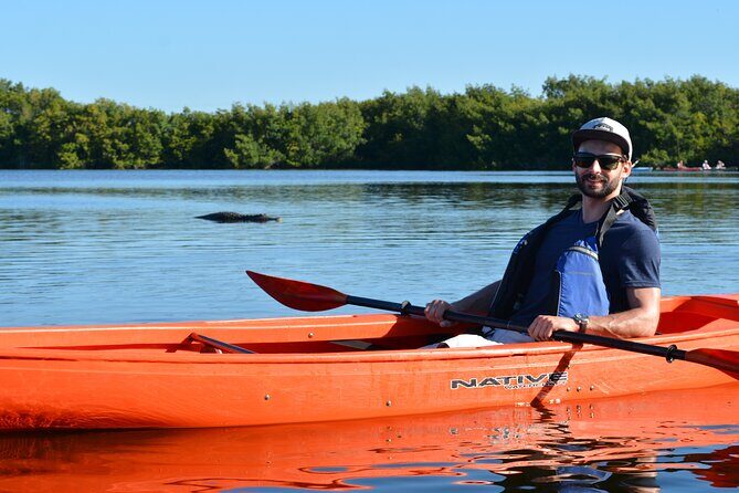 2Hour Everglades Kayak Safari Adventure Through Mangrove Tunnels - An In-Depth Look at the Kayak Safari