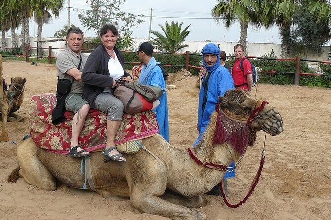 2Hours DE Quad + Comedy EN Tour and Crocoparc Tour - A Detailed Look at the Tour Itself