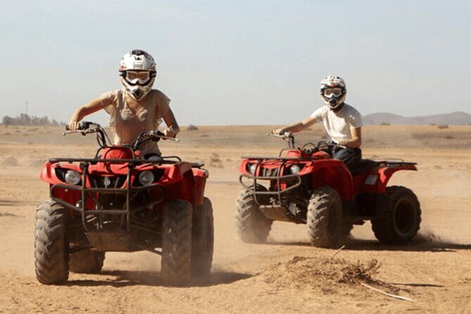 2Hours DE Quad + Comedy EN Tour and Crocoparc Tour - Final Thoughts