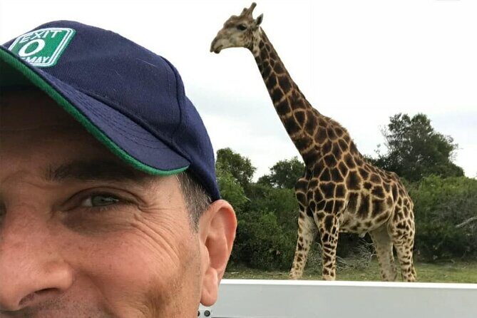 2hr Guided Game Drive at 10h00; Kragga Kamma Game Park Ticket - Final Thoughts