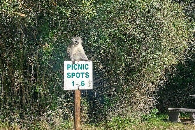 2hr Guided Game Drive at 10h00; Kragga Kamma Game Park Ticket - The Sum Up