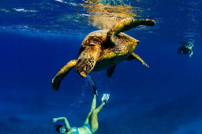 2hr Luxury Private Sailing Catamaran in Waikiki for 1-6 People - FAQ