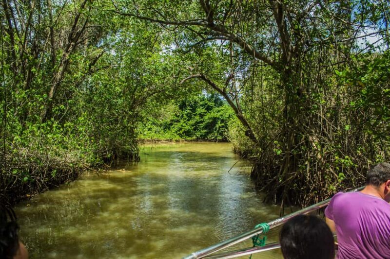 2in1: Los Haitises National Park + Yanigua Waterfall-SPA - An Authentic Day in the Dominican Republic: What to Expect