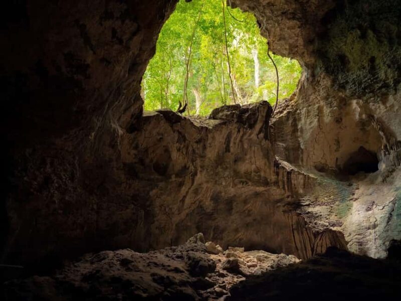 2in1: Los Haitises National Park + Yanigua Waterfall-SPA - FAQ