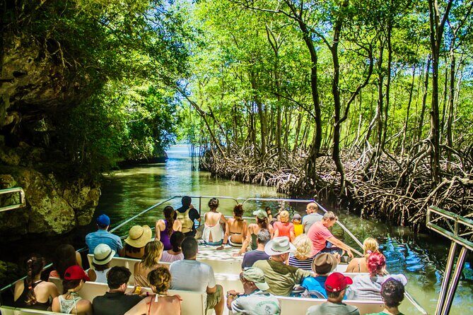 2in1: Los Haitises National Park + Yanigua Waterfall-SPA - An Honest Look at the 2-in-1 Los Haitises & Yanigua Waterfall-SPA Tour