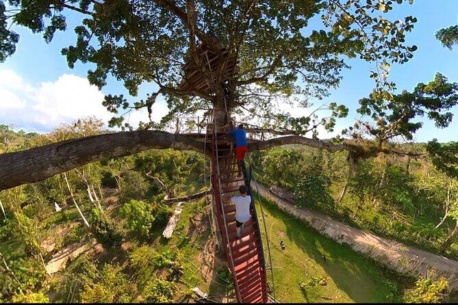 2in1: Los Haitises National Park + Yanigua Waterfall-SPA - Final Thoughts: Who Will Love This Tour?