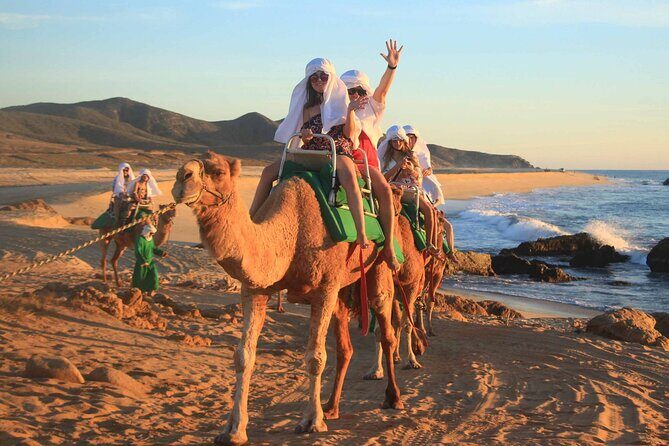 2x1 Tour: Cabo San Lucas Arch + Camels Ride + Pick up! - Who Should Consider This Tour?