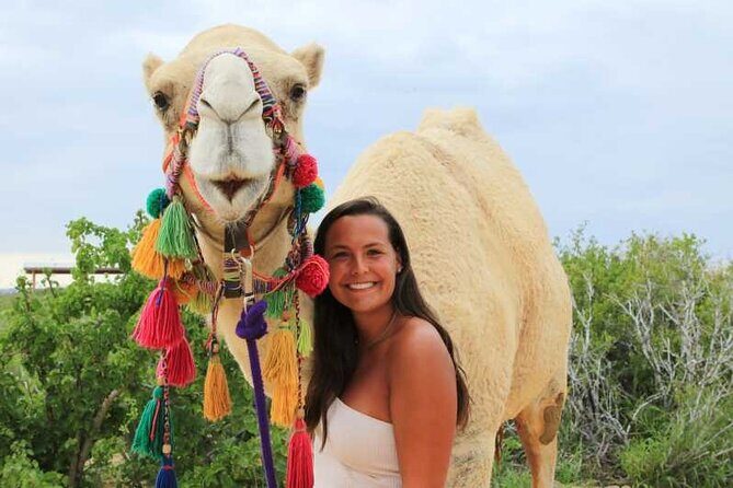 2x1 Tour: Cabo San Lucas Arch + Camels Ride + Pick up! - The Sum Up