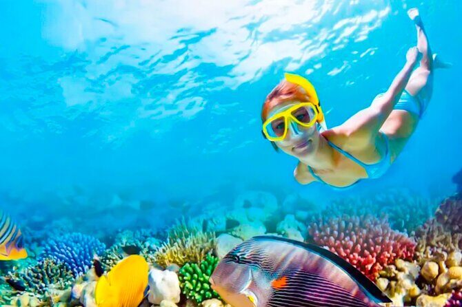 2x1 Tour: Isla Contoy, Isla Mujeres, Open Bar, Lunch and Transfers - An In-Depth Look at the Experience
