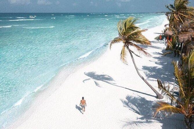 2x1 Tour: Isla Contoy, Isla Mujeres, Open Bar, Lunch and Transfers - Authentic Experiences and Testimonials