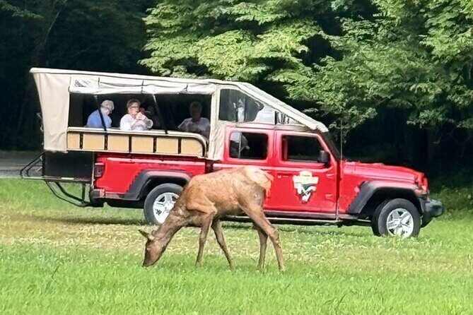3 - 3.5 HR Smoky Mtn. Cherokee Eco Elk Safari Jeep Adventure - What to Expect from the Adventure