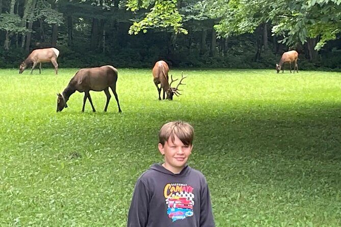 3 - 3.5 HR Smoky Mtn. Cherokee Eco Elk Safari Jeep Adventure - FAQs