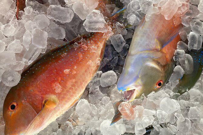3/4 Day 7 Hour Offshore Fishing Charter - The Sum Up: Is This Tour Worth It?