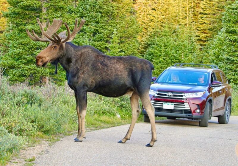 3/4 Day RMNP Mtn to Sky+Bear Lake Rd Tour-RMNPhotographer - Final Thoughts