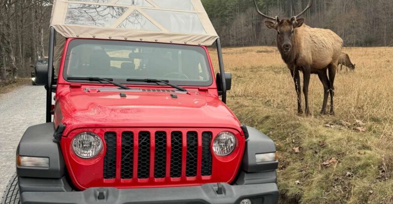 3.5-4 HR. Guided Safari Jeep Eco Waterfall Adventure - Practical Tips for Participants