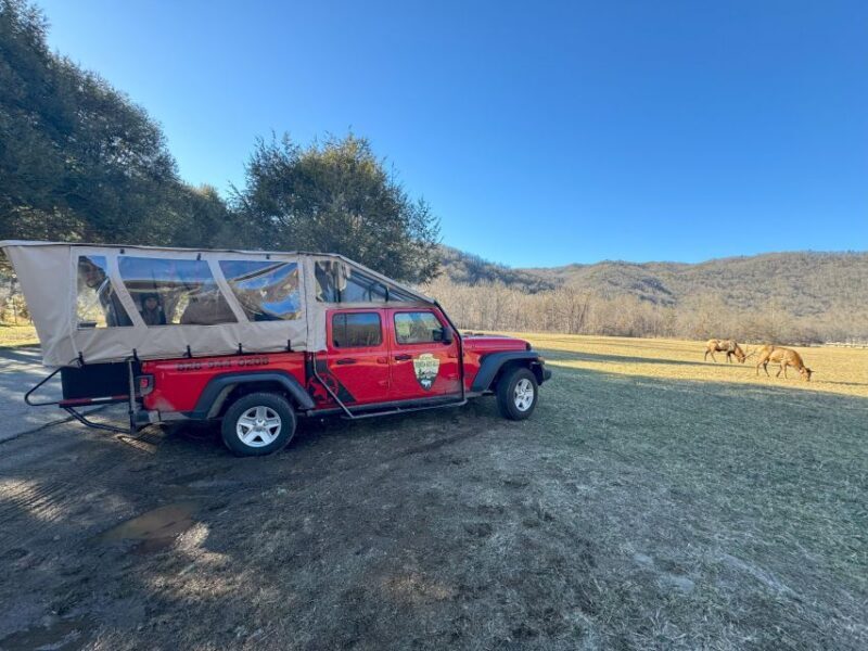 3.5-4 HR. Guided Safari Jeep Eco Waterfall Adventure - FAQ
