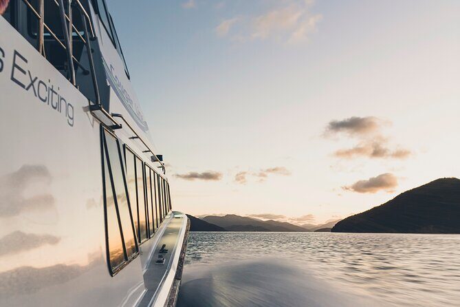 3.5 Hour Marlborough Sounds Delivery Cruise - Wildlife Watching and Natural Highlights
