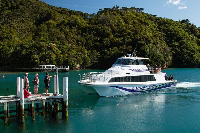 3.5 Hour Marlborough Sounds Delivery Cruise - Practical Tips for Travelers