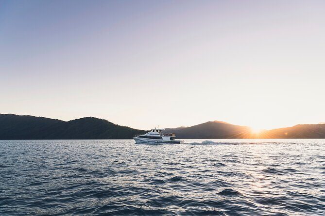 3.5 Hour Marlborough Sounds Delivery Cruise - Who This Tour Is Perfect For