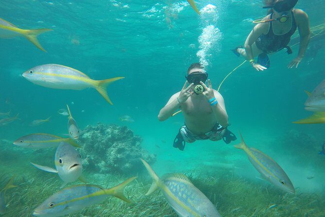 3 ADVENTURES: Sailing Catamaran Cruise - Hooka Diving - Snorkeling - Key Points
