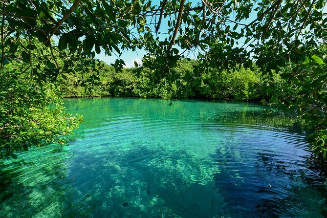 3 Cenote Dives - Casa & Dos Ojos - Booking and Practical Considerations
