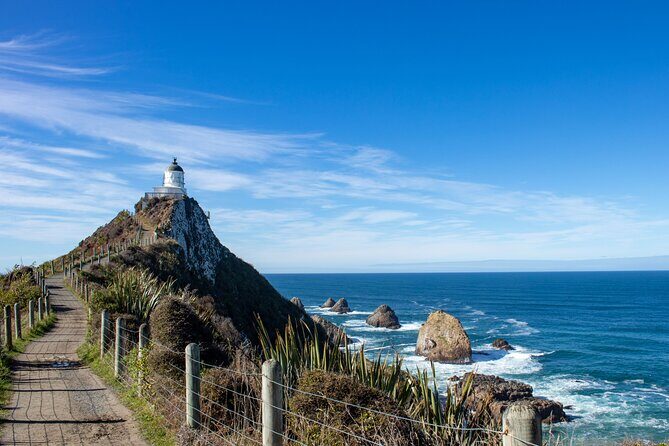 3 Day 2 Night New Zealands South Southern Highlights Tour - Day Two: Coastal Wonders and Wildlife Encounters