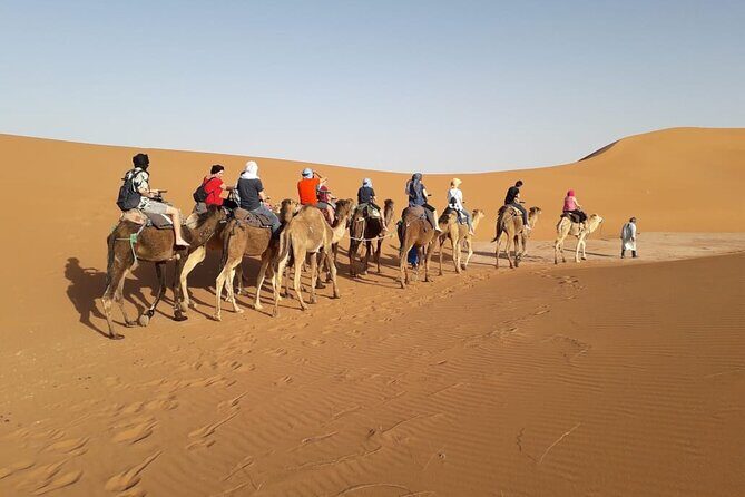 3-day 2-night Sahara Desert Adventure - Key Points