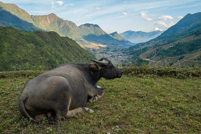 3 Day 2 Night Trek - The Details: What to Expect from the Sapa Trekking Experience