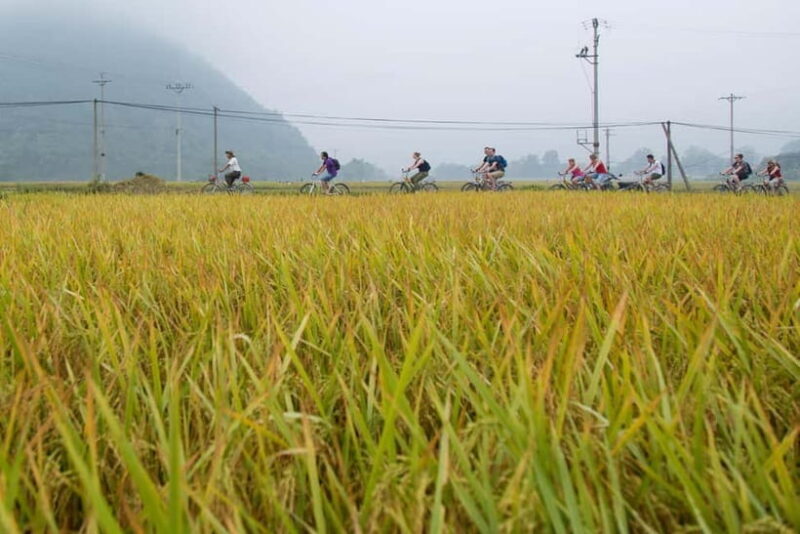 3-Day-2-Night Ultimate Escape in Mai Chau - Analyzing the Overall Value
