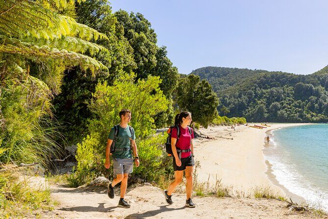 3 Day Abel Tasman Guided Walk - Final Thoughts: Is It Worth It?