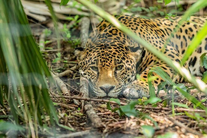 3-Day Adventure and Nature Tour in Huasteca Potosina from Ciudad Valles - Final Thoughts: Who Will Love This Tour?